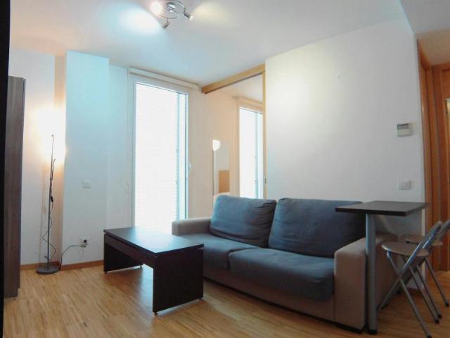 Apartamentos Madrid Madrid 102554314
