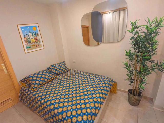 Apartamentos Madrid Madrid 102796639