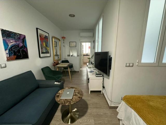 Apartamentos Madrid Madrid 102848954