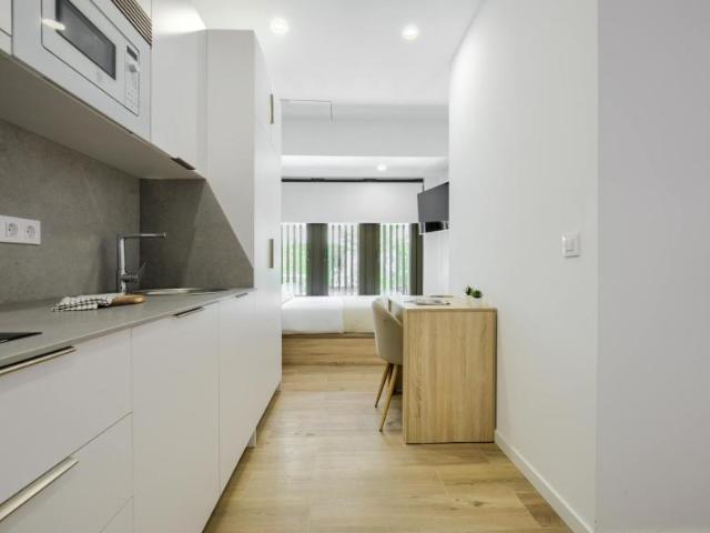 Apartamentos Madrid Madrid 102849329