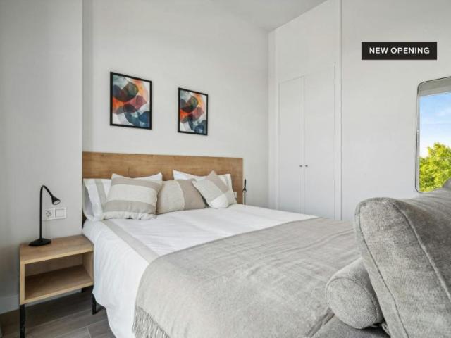 Apartamentos Madrid Madrid 102916809