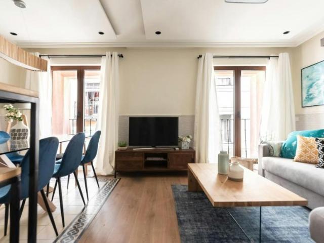 Apartamentos Madrid Madrid 102953292