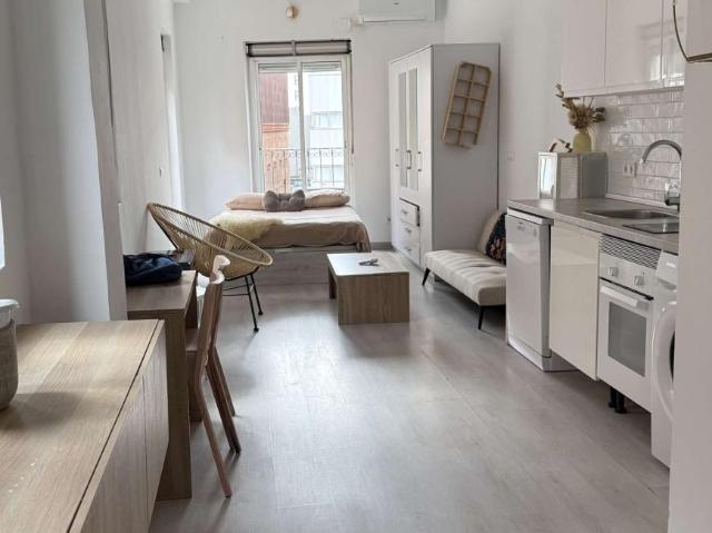Apartamentos Madrid Madrid 102206975