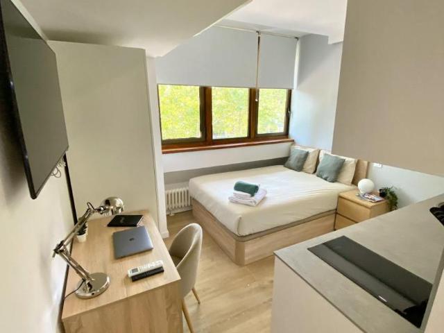 Apartamentos Madrid Madrid 102399818