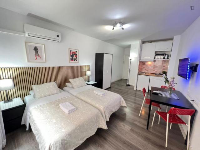 Apartamentos Madrid Madrid 103594824