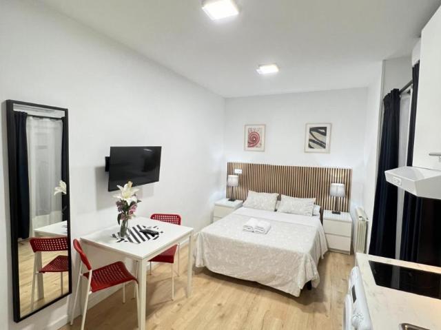 Apartamentos Madrid Madrid 103594829
