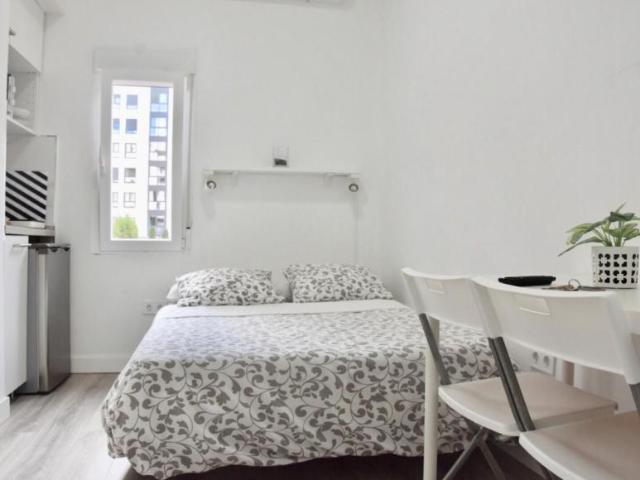 Apartamentos Madrid Madrid 103594832