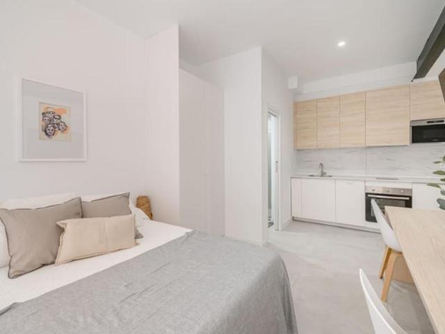 Apartamentos Madrid Madrid 103595096