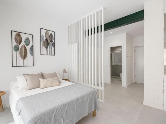 Apartamentos Madrid Madrid 103595178