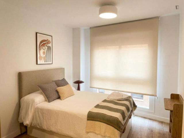 Apartamentos Madrid Madrid 103595239