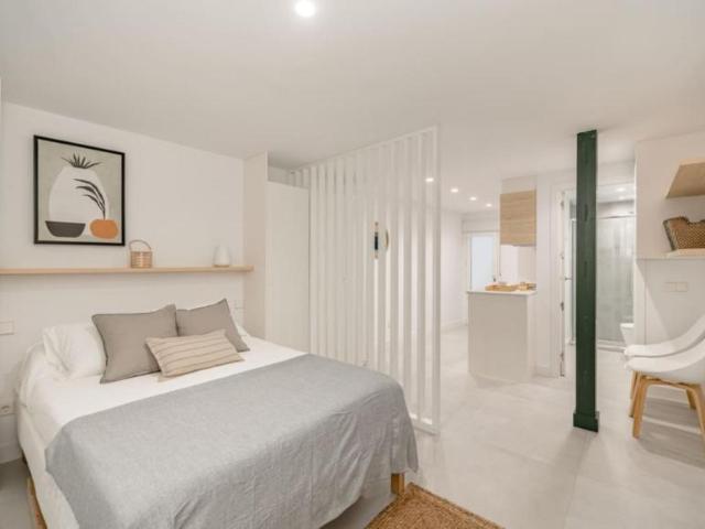 Apartamentos Madrid Madrid 103595285