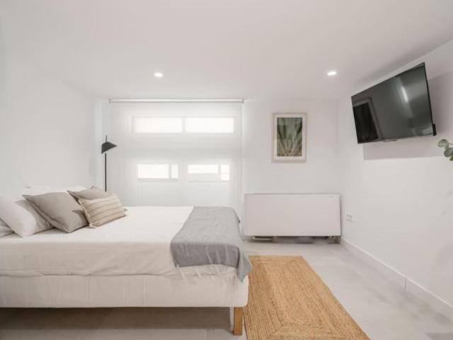 Apartamentos Madrid Madrid 103595295