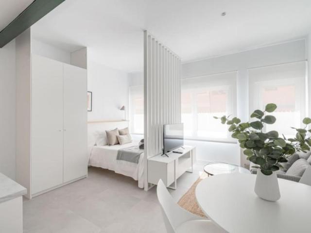 Apartamentos Madrid Madrid 103595304