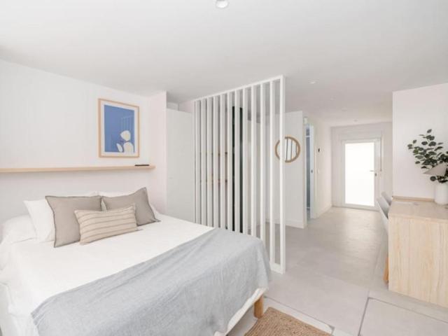 Apartamentos Madrid Madrid 103595323