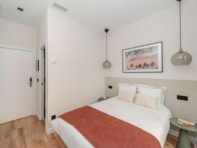 Apartamentos Madrid Madrid 103597283