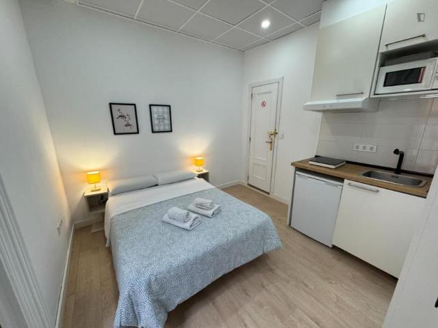 Apartamentos Madrid Madrid 103612440