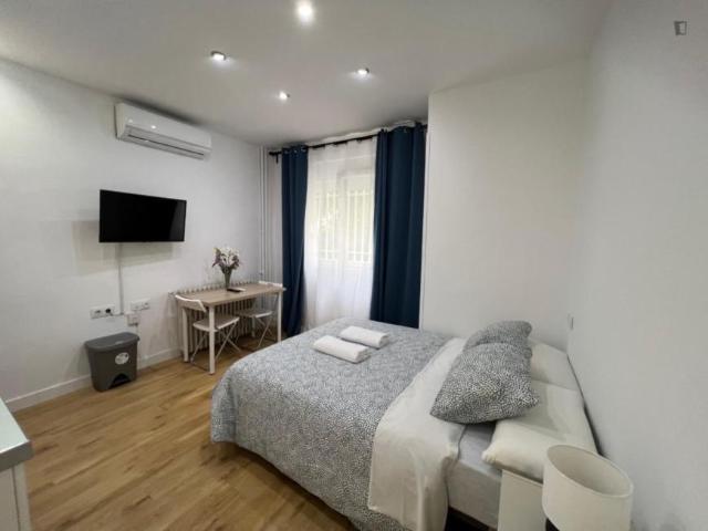 Apartamentos Madrid Madrid 103612324