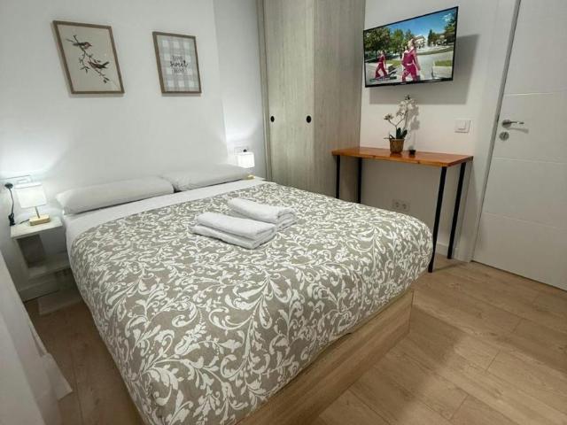 Apartamentos Madrid Madrid 103654736