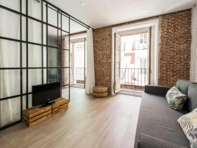 Apartamentos Madrid Madrid 103260508