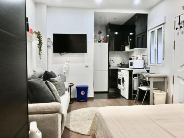 Apartamentos Madrid Madrid 103261520