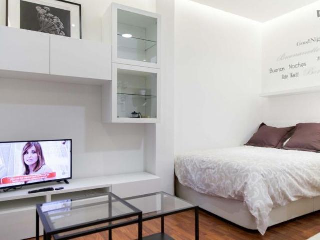 Apartamentos Madrid Madrid 103261290