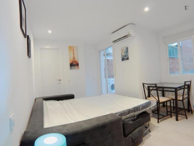 Apartamentos Madrid Madrid 103263491