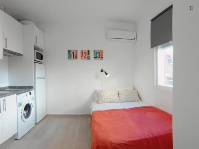 Apartamentos Madrid Madrid 103263258