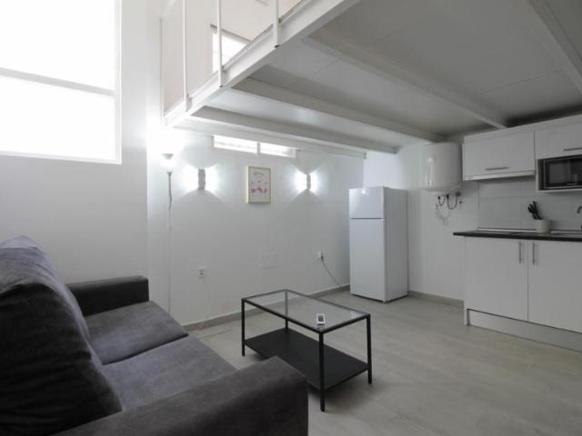 Apartamentos Madrid Madrid 103264726