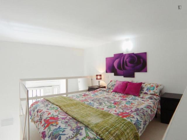 Apartamentos Madrid Madrid 103264759