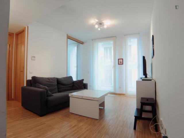 Apartamentos Madrid Madrid 103264943