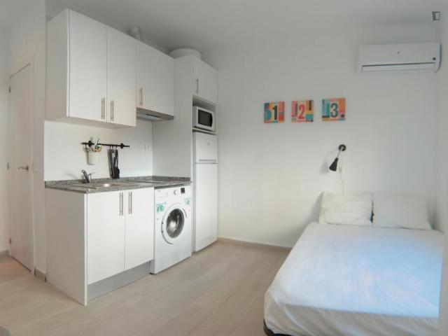 Apartamentos Madrid Madrid 103264035