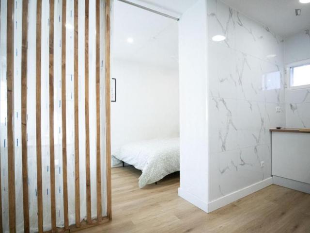 Apartamentos Madrid Madrid 103264209