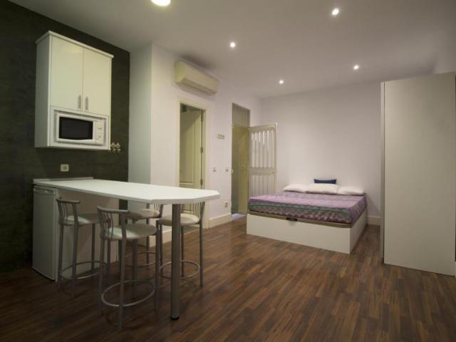 Apartamentos Madrid Madrid 103264341