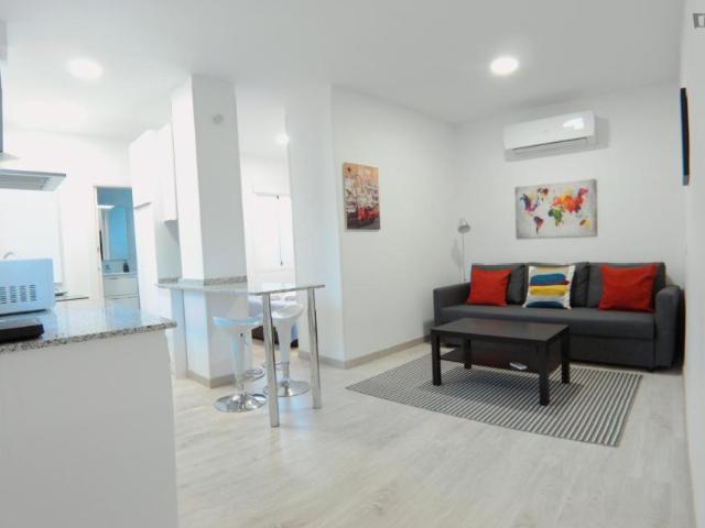 Apartamentos Madrid Madrid 103265713