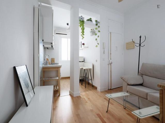 Apartamentos Madrid Madrid 103265746