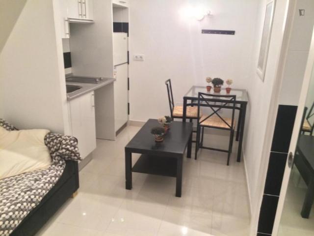 Apartamentos Madrid Madrid 103266274