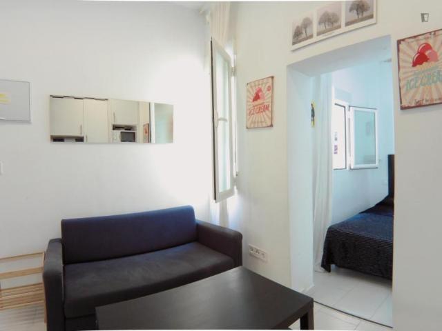 Apartamentos Madrid Madrid 103266341
