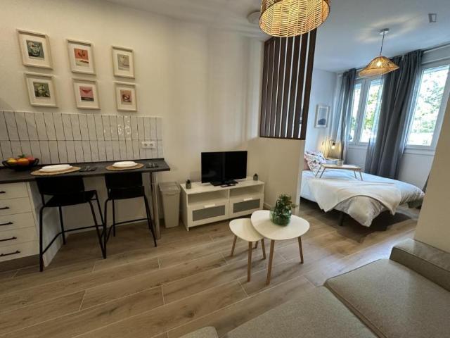 Apartamentos Madrid Madrid 103267844