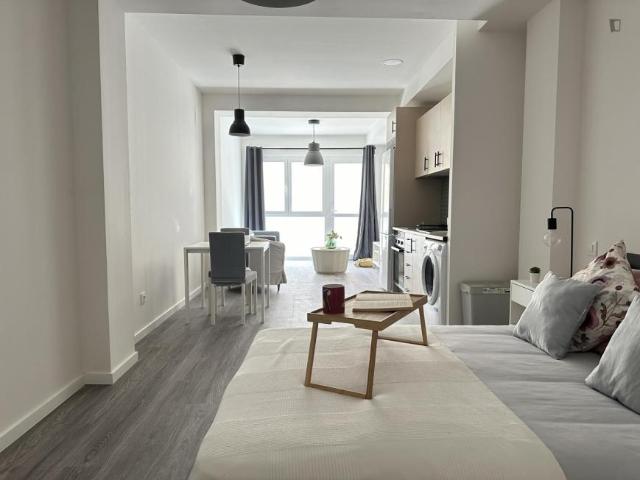 Apartamentos Madrid Madrid 103267136