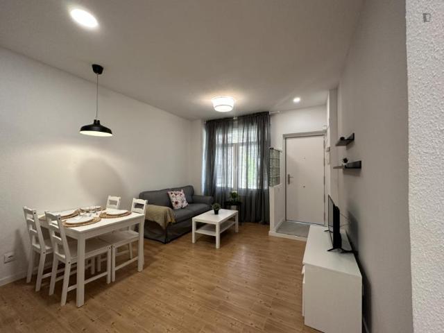 Apartamentos Madrid Madrid 103268997
