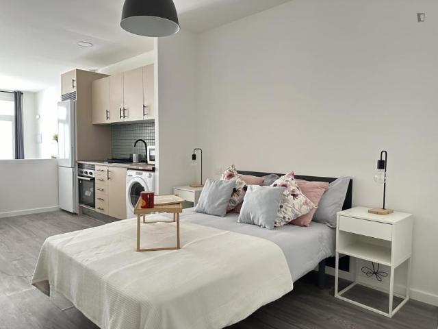 Apartamentos Madrid Madrid 103269716