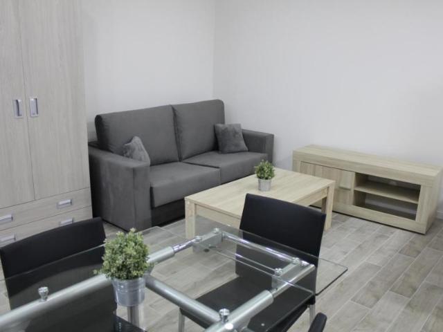 Apartamentos Madrid Madrid 103270968