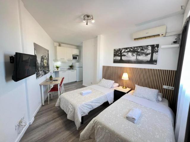 Apartamentos Madrid Madrid 103271692