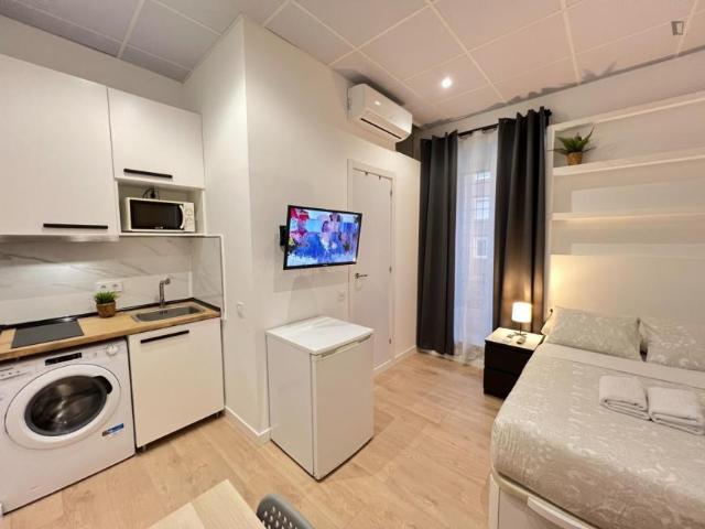 Apartamentos Madrid Madrid 103271760