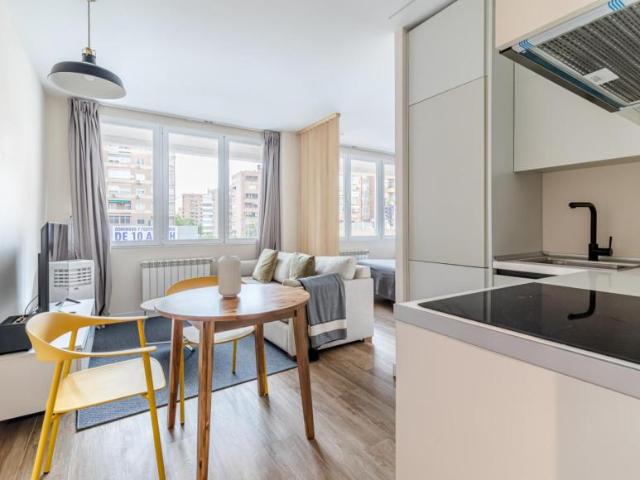 Apartamentos Madrid Madrid 103274197
