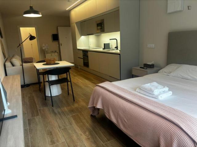 Apartamentos Madrid Madrid 103274226