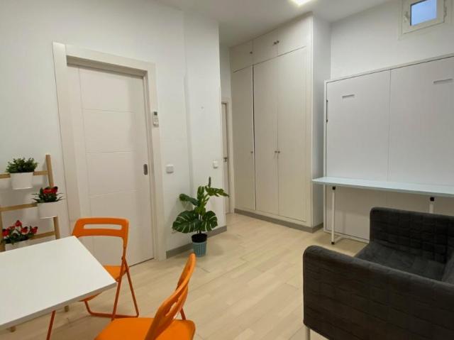 Apartamentos Madrid Madrid 103275430