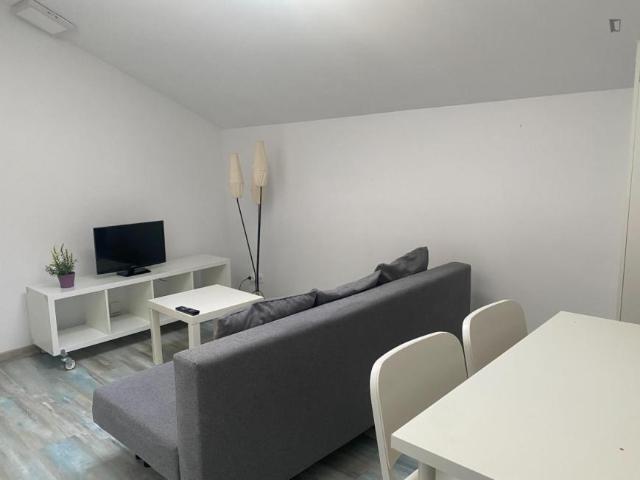 Apartamentos Madrid Madrid 103275461