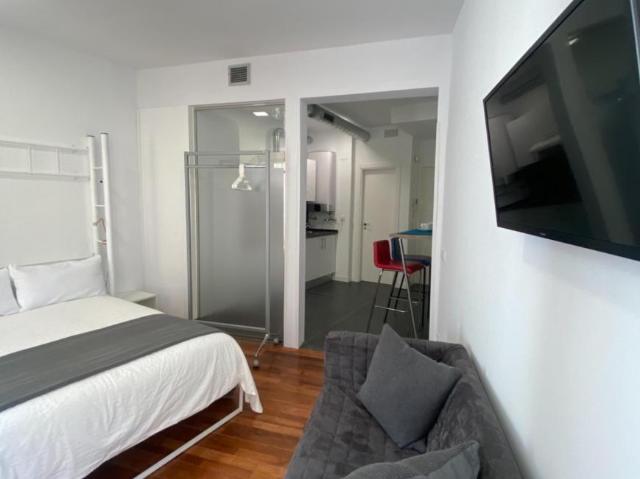 Apartamentos Madrid Madrid 103275367
