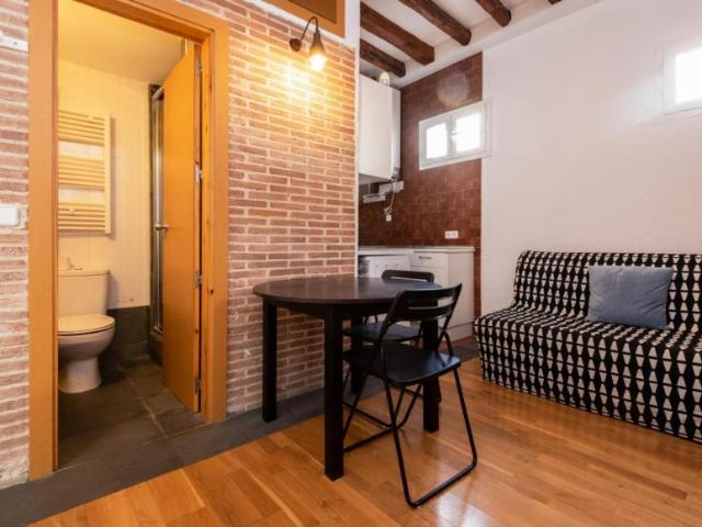 Apartamentos Madrid Madrid 103275399